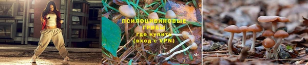 прущий лед Новодвинск
