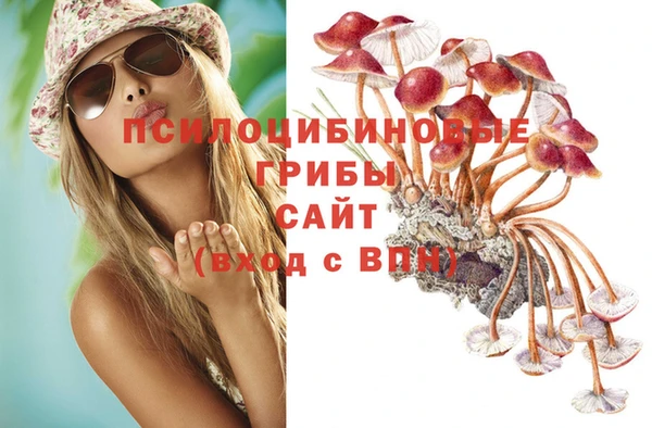 ECSTASY Новозыбков