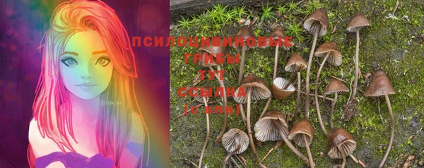 прущая мука Новокубанск