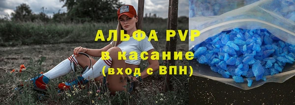ECSTASY Новозыбков