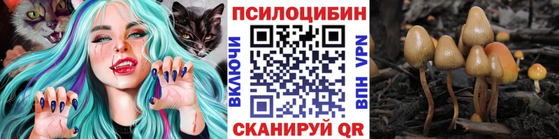 KRAKEN онион  Кострома  Псилоцибиновые грибы GOLDEN TEACHER 