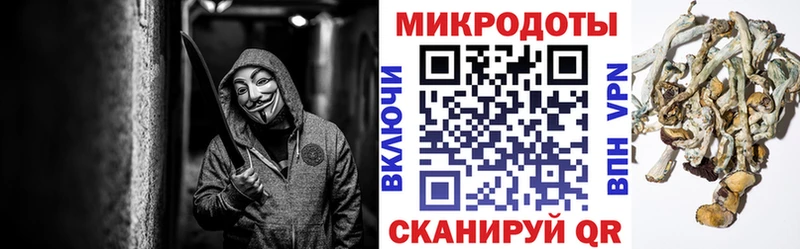 Галлюциногенные грибы ЛСД Кострома