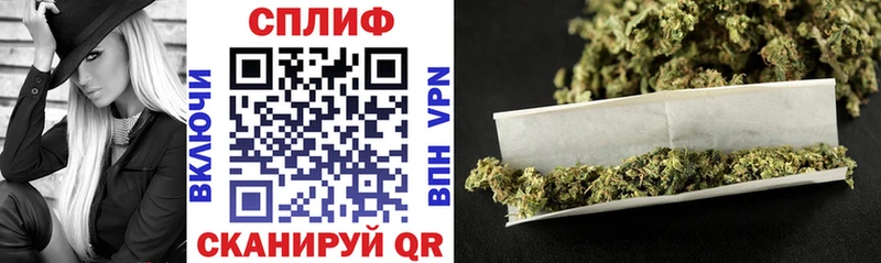 купить наркотик  Кострома  Каннабис индика 